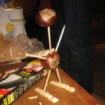 Im Reich der Kastanientiere